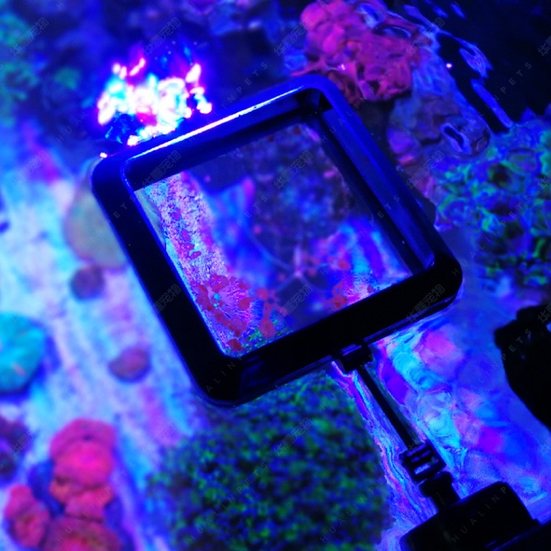 VASTOCEAN 磁気給餌リング 水槽用 浮遊防止 魚用餌 - Seaweed Snack のレビューと価格