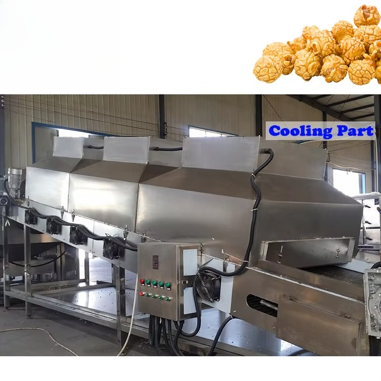高容量自動大型ポップコーン製造機 工業用ガスフルーツフレーバ - Popcorn のレビューと価格